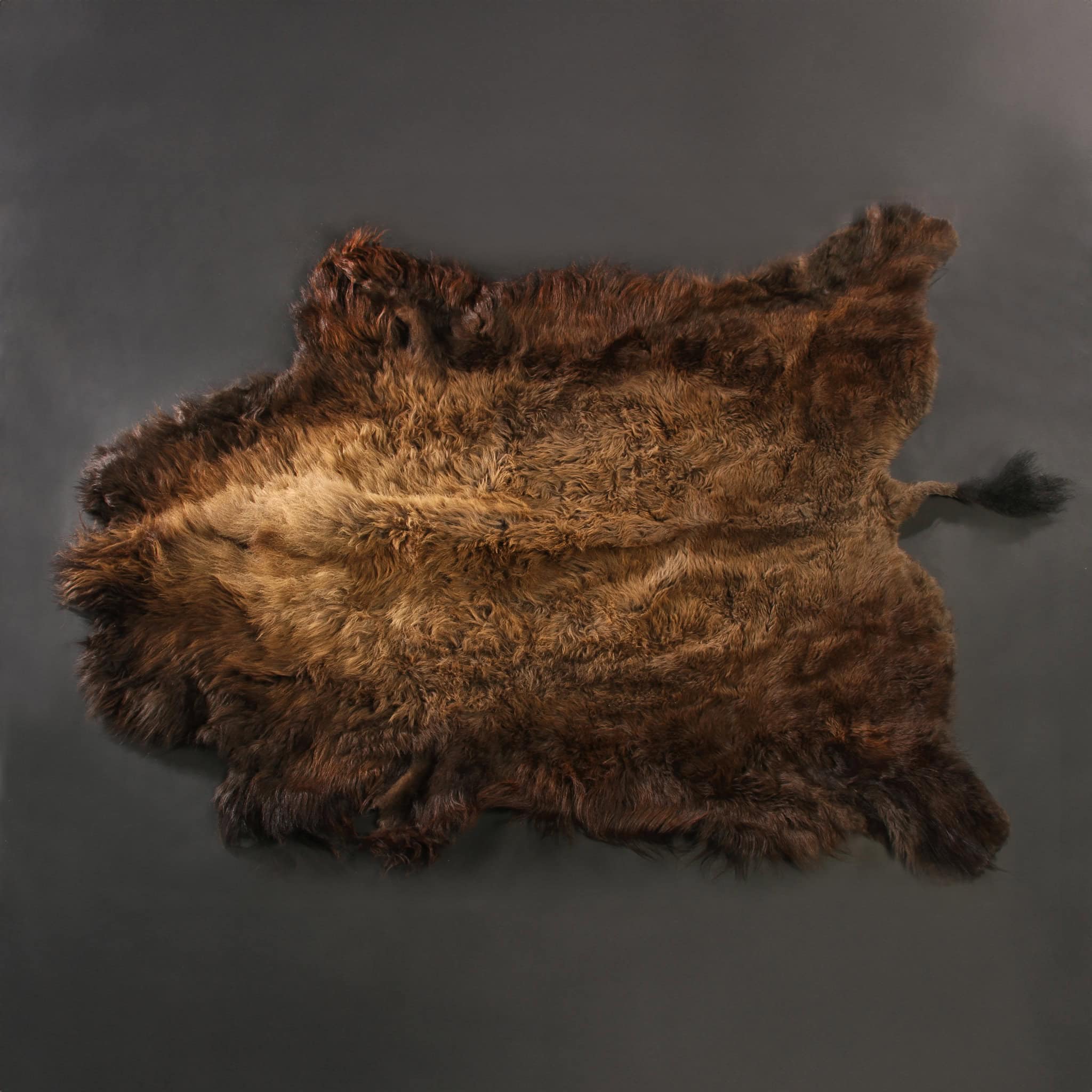 Badekar Glimte forstyrrelse Buffalo/Bison Hides & Robes | All-American. Guaranteed by Merlin's Hide Out